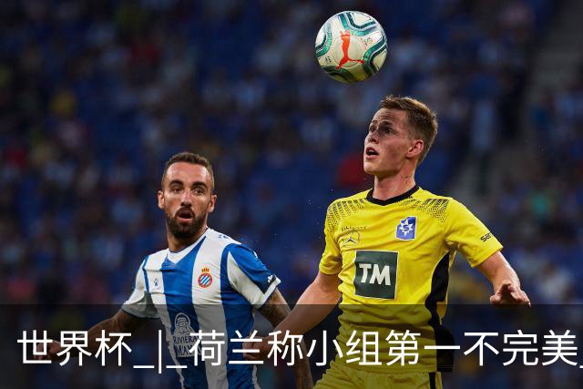 世界杯 | 荷兰称小组第一不完美 摩洛哥是“硬茬”